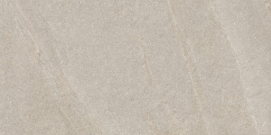 SERENISSIMA ECLETTICA ARGENTO ECLETTICO 60x120 RETT SILK R9 1081679 Płytka gresowa