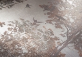 Tapeta ceramiczna Serenissima Showall Wall 14 Forest RTT. 120x120 cm - Yeti Gruppo Warszawa